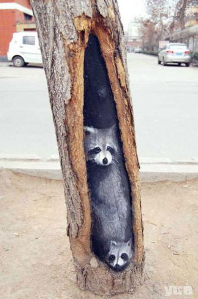 Китаянка рисует на коре деревьев