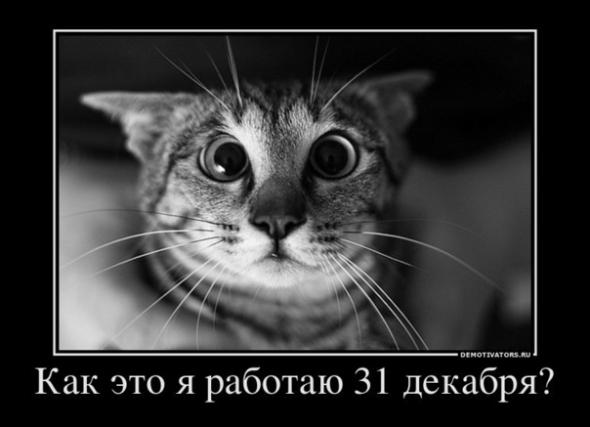 Кошак выносящий мозг)))